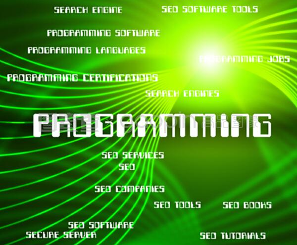 编程与软件开发 应用软件的构建与应用